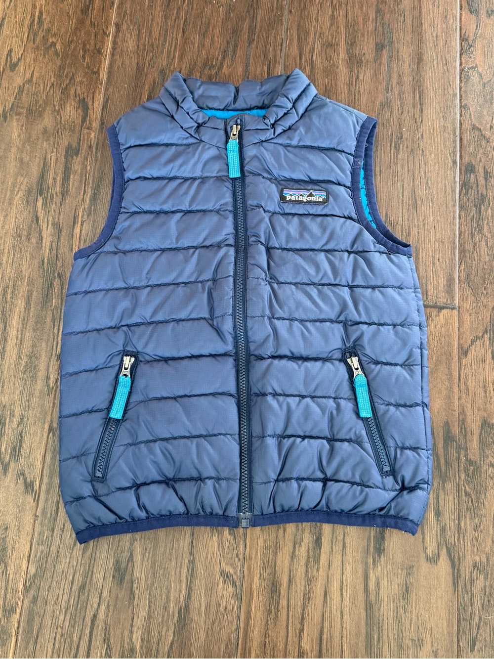 Patagonia vest
